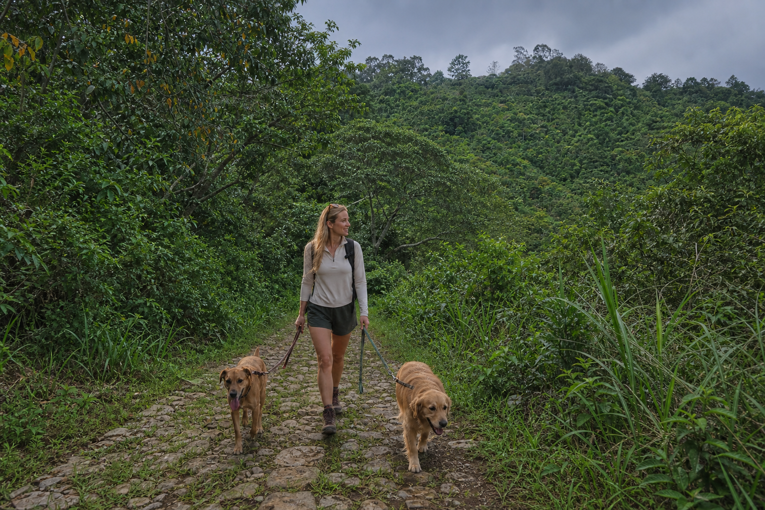Woman walking her dogs on mountain trails